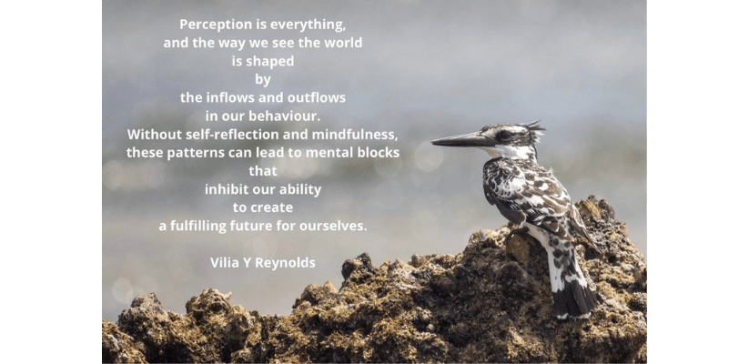 2 RELOAD mental blocks on our perception of life 